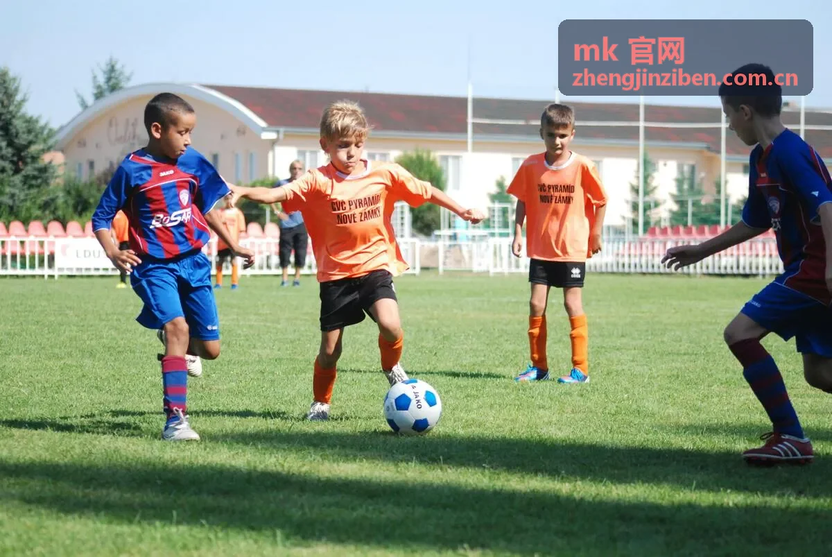 mk 官网续费与席位升级操作