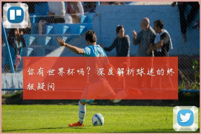 你有世界杯吗？深度解析球迷的终极疑问